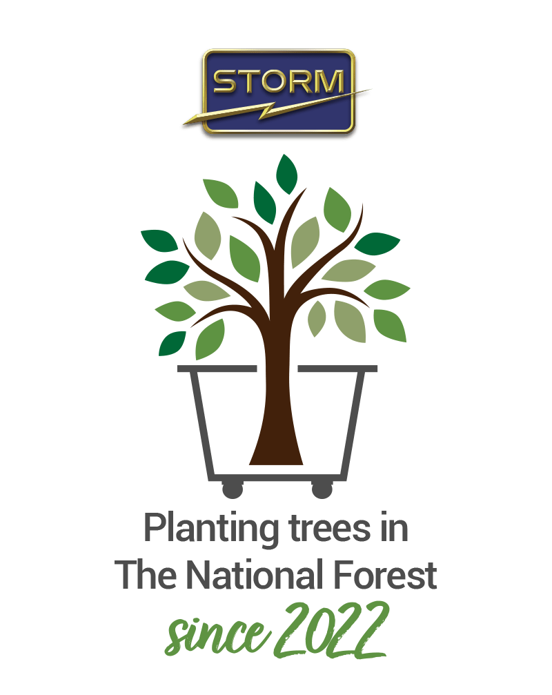 National Forest 2