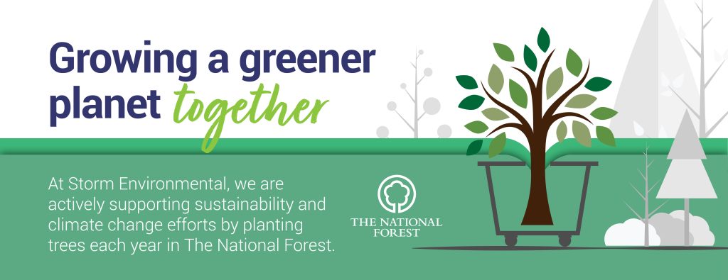 National Forest